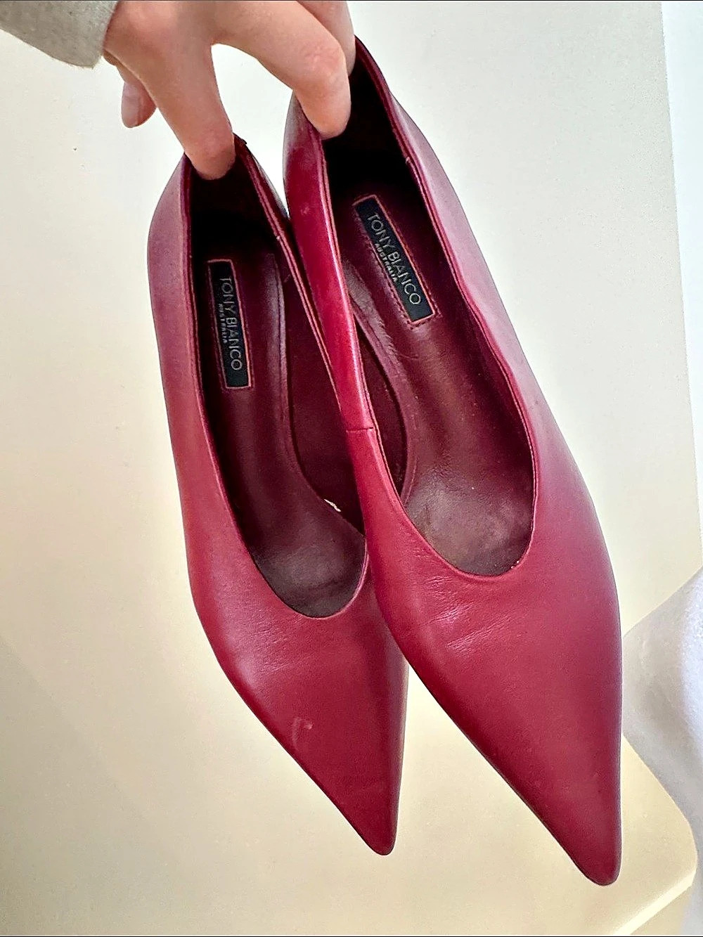 Tony Bianco Pointed Toe Pumps in Red